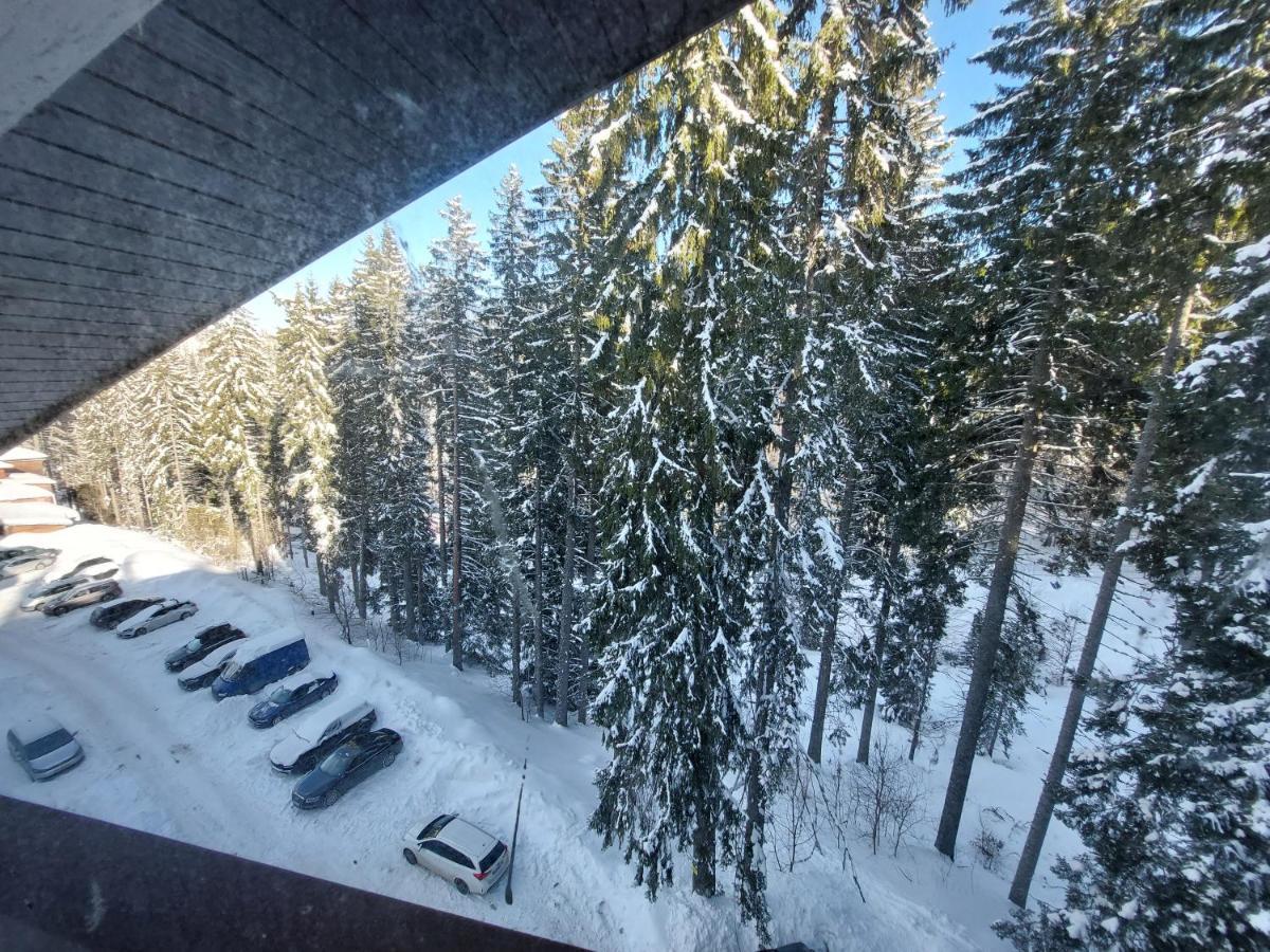 Ski & Holiday Apartments In Pamporovo Kültér fotó