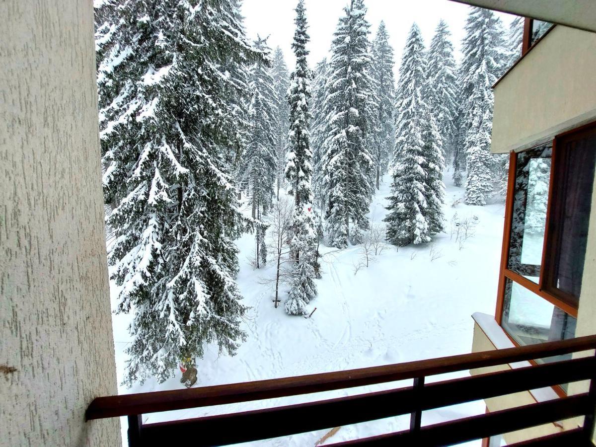 Ski & Holiday Apartments In Pamporovo Kültér fotó